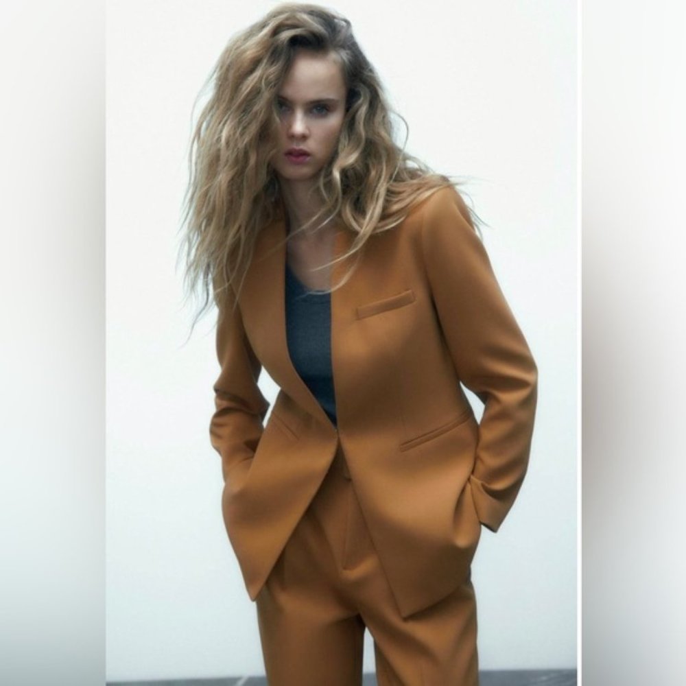 Zara Suit (Taupe Brown) NWT